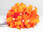 1 Set of 20 LED Orange Frangipani Flower Battery String Lights Christmas Gift Home Wedding Party V382-ORFRANGIBATT20