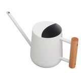 Watering Can 900ml Stainless Steel Long Spout Wooden Handle Elegant Flower Watering Pot for Garden V1294-YM0706-3111230174011