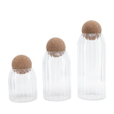 3Pcs Glass Jars with Ball Cork Transparent Sealing Storage Container for Tea Coffee Cereals V1294-YM0901-3118210123711