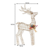 Christabelle Light Up Christmas Reindeer Display Indoor Outdoor Decoration Warm White LED Light 112_MHA603