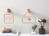4 Pcs Specimen Metal Photo Frame,Double Floating Picture Frames,Golden Hanging Glass Picture V1192-AZ-W-17543