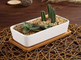 17Cm Ceramic Succulent Pot With Bamboo Tray White 2 pcs Set, Cactus Planter Cache Pot Jardinire V1188-MS-227-2781
