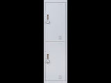 2-Door Vertical Locker for Office Gym Shed School Home Storage V63-832441