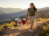 Dog Harness Storage Bags For Dogs Pet Accessories Dog Outdoor Gear High-Quality - Red - Size L V1107-136-43443-RED-L