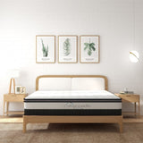 Osteopedic Euro Top Pocket Spring Mattress - King ABM-205009