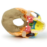 Newest Anatomy Skull Model,Human Medical Skull Model Dental ClinicTeaching Equipment,Medical V1192-AZ-W-17032