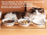 Triple Slanted Ceramic Pet Bowl Set with Elevated Iron Stand and Non Slip Base - 3 x 300ML Versatile V888-ELOSUNG49880