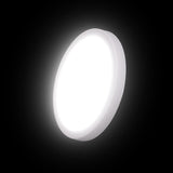 LED Ceiling Light Fixture, Natural Light, 9W V178-35401
