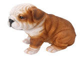 English Bulldog Puppy Statue Lifelike Resin Bulldog Sculpture for Garden Lawn Porch Decoration V1294-YM0703-3111230093412