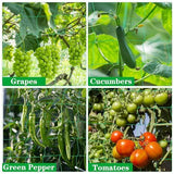 4Pack Garden Trellis Netting for Plants Outdoor Heavy Duty 27 Strands & 4x4 Inch Mesh Plant V1107-119-65794-GRN-4PACK