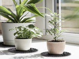 15 PCS Plant Level Pot Elevator, 12 inch Plastic Potted Stands, Large Patio Planter Riser Holder, V1259-DP01-A-882