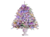 Christabelle 2.3m Christmas Tree Potted Alpine Fir with Pre Lit Multi-Colour LED Lights 112_HZPA75