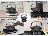1.2L Cast Iron Teapot and Warmer Set Tea Kettle Iron Bottle With Stainless Steel Mesh Infuser and V985-TEAPOTSET