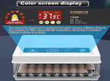 CARLA HOME 70 Egg Incubator withmatic Turning, LED Display, Humidity & Temperature Control, LSB-36355