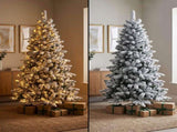 Christabelle 2.3m 7.5ft Snowy Dorset Pine Christmas Tree Pre Lit Multi Function LED Lightly Flo 112_WFLSD75