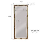 French Provincial Ornate Mirror - Champagne - Medium 70cm x 170cm V292-MIRR-FRN007