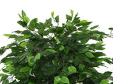 Artificial Ficus Tree 180cm Nearly Natural UV Resistant V77-1020999UV