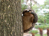Garden Sloth Sculptures Lovely Innovative Simulation Resin Waterproof Lasting Tree Hugger V1294-YM0703-3111230019311