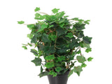 Potted Artificial Ivy Plant 43cm V637-84517PLN