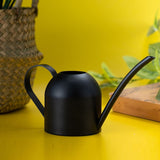 Stainless Steel Watering Can Metal Water Can for Indoor Plants with Long Spout to Prevent Spillage V1366-AZ2-W-11865
