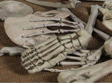 28Pcs Halloween Skeleton Bones Halloween Props Skeleton Tricky Bones Haunted House Party Decorations V1294-YM0717-10036888