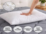Giselle King 34cm Euro Top Pocket Spring Mattress with 2 Feather Down Pillows Set MAPI-TT34-DFD-WALL-K