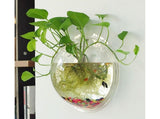 1 Set Fish Tank Decorative Wall Mounted Hanging Flower Vase-Transparent V1263-JX-446