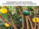 8pcs Hanging Fly Trap Ball Fruit Fly Catcher Sticky Trap Outdoor Pest Catcher for Garden Plants V1294-YM0718-10152618