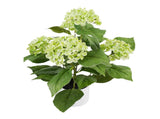Potted Artificial Green Hydrangea 50cm V637-05075HYD