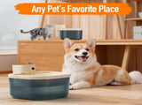 Smart Wireless Pet Water Fountain with Deep Blue Translucent Reservoir and Quiet Flowing Filter V1341-ZY-UWRQ2J48-TRANSPARENT
