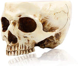 Halloween Skull Flower Pot Planter, Retro Human Skull Head Shape Succulent Container Box for Home V1237-ZY00B07K9M87RM