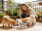Automatic Cat Feeder and Water 2-in-1 Pet Automatic Fountain Food Bowl Spill-Proof Cat Waterer for V1107-134-35378-PNK