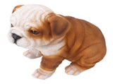 English Bulldog Puppy Statue Lifelike Resin Bulldog Sculpture for Garden Lawn Porch Decoration V1294-YM0703-3111230093412