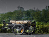 Bike Cargo Trailer, 72.5 kg Load, Heavy-Duty Bicycle Wagon Cart, Foldable Compact Storage & Quick V952-CGKHZHJG200B5HWMPV0