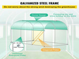 Walk-in Tunnel Greenhouse, 3 x 2 x 2 m, Portable Plant Hot House with Galvanised Steel Frame, 1 Top V952-YDSDWSL1077FTKHD5V0