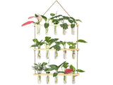 3 Tiered Wall Hanging Terrarium with Wooden Stand Flower Vase Glasser for Hydroponic V1369-AZ3-W-01345