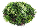 Slimline Artificial Green Wall Disc Art 80cm Colour Fresh UV Resistant V637-DP9863