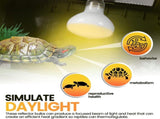 (4-Pack) Bowls and 100W UVA Heat Lamp Bulbs, (2-Pack) Water and Food Bowls and 4-Pack V1258-DP02-C-922