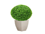 LGCASL Simulation Artificial Plant Topiary Faux Decorative for Garden Backyard Balcony and Home V1189-LWWAL-20260325-02364