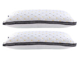 Giselle 2pcs Pillows Microfibre PILLOW-MICRO-4873X2