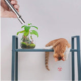Multi-Function USB Rechargeable Laser Cat Teaser Wand with Stainless Steel Body, Ideal for V1341-ZY-XQX2MY36-SILVER
