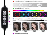 10.2 Rgbw Led Ring Light Kit With 1.1M Tripod & Phone Clamp PRL-4403TKP