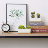 17Cm Ceramic Succulent Pot With Bamboo Tray White 2 pcs Set, Cactus Planter Cache Pot Jardinire V1188-MS-227-2781