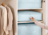 Storage Bag - - Storage Bags - Movable Bags - Space-Saving Bags - Storage Bag V1188-MS101-02221-1