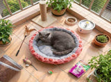 Round Pet Bed for Small Dogs and Cats, Soft Plush Calming Cat Bed with Strawberry Pattern, Cozy V888-ELOSUNG54597