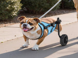 Dog Wheelchair for Back Legs, Adjustable 2 Wheels Pet Wheelchair, Lightweight Dog Cart with V952-CWLYLLSZHMLLG0BX1001V0