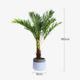 180cm Phoenix Palm - Artificial Plant, Home Decor Flora V915-MB0044