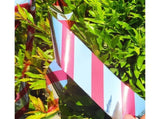 10Pcs Bird Repellent Ribbon Double Side Tape - Silver&Red V1263-JX-925