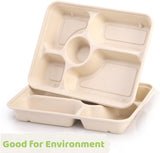 50 Pack 5 Compartment Disposable Paper Plates, 11" x 8" Compostable Bagasse School Lunch Tray, V1259-DP01-A-896