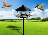 Birds Feeder With Iron Ground Mounted Ring Stand, Large Platform Feeder Tray - Standing Iron V1366-AZ2-W-26889